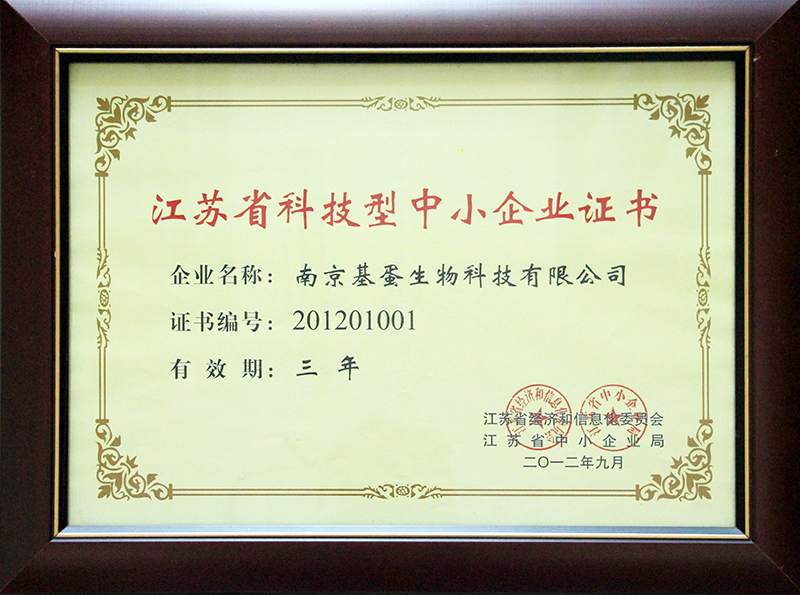 江苏省科技型中小企业证书